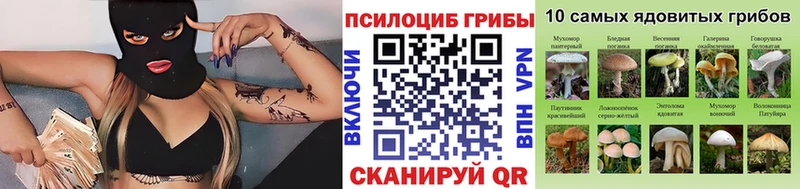 закладки  Теберда  Псилоцибиновые грибы мухоморы 